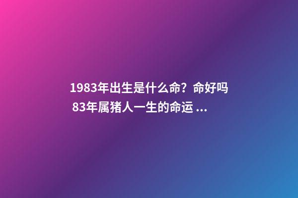 1983年出生是什么命？命好吗 83年属猪人一生的命运 1983年属猪一生命运如何-第1张-观点-玄机派